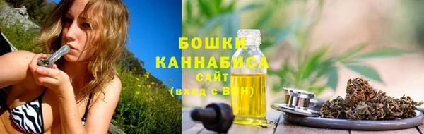 амф Переславль-Залесский