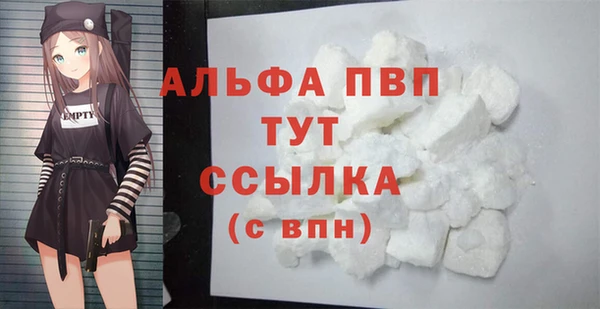 спиды Пересвет