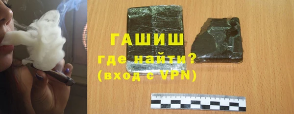 гашик Няндома