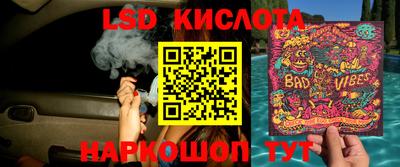 прущие грибы Донской