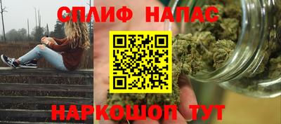 прущие грибы Донской