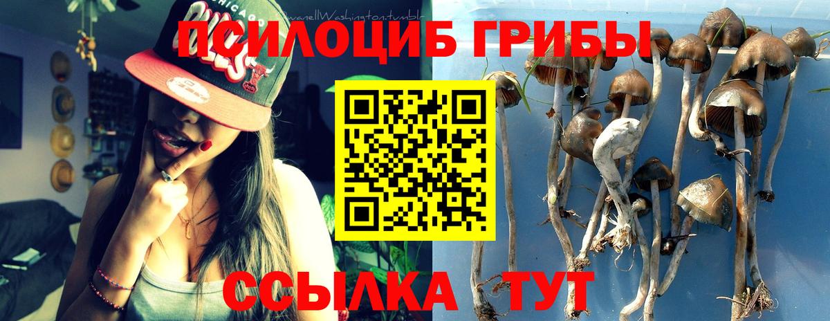 Приморско-Ахтарск  купить   Вход с VPN  Галлюциногенные грибы Psilocybine cubensis 